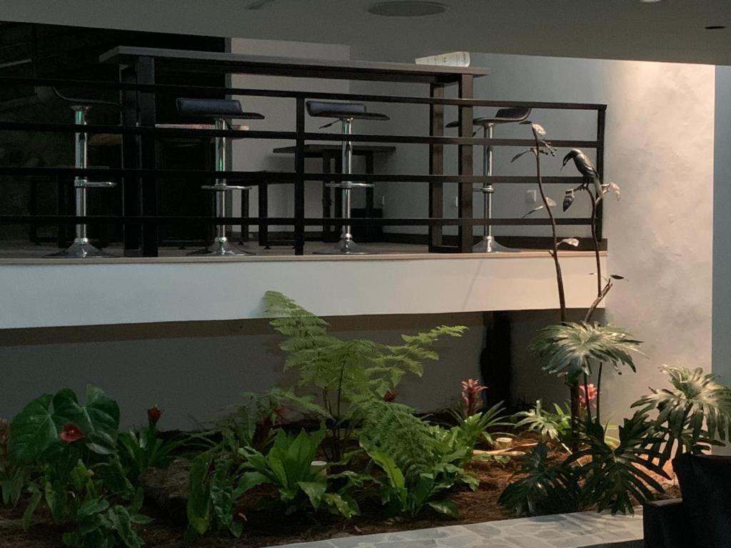 Apartahotel La Arboleda Hc Manizales Exteriér fotografie